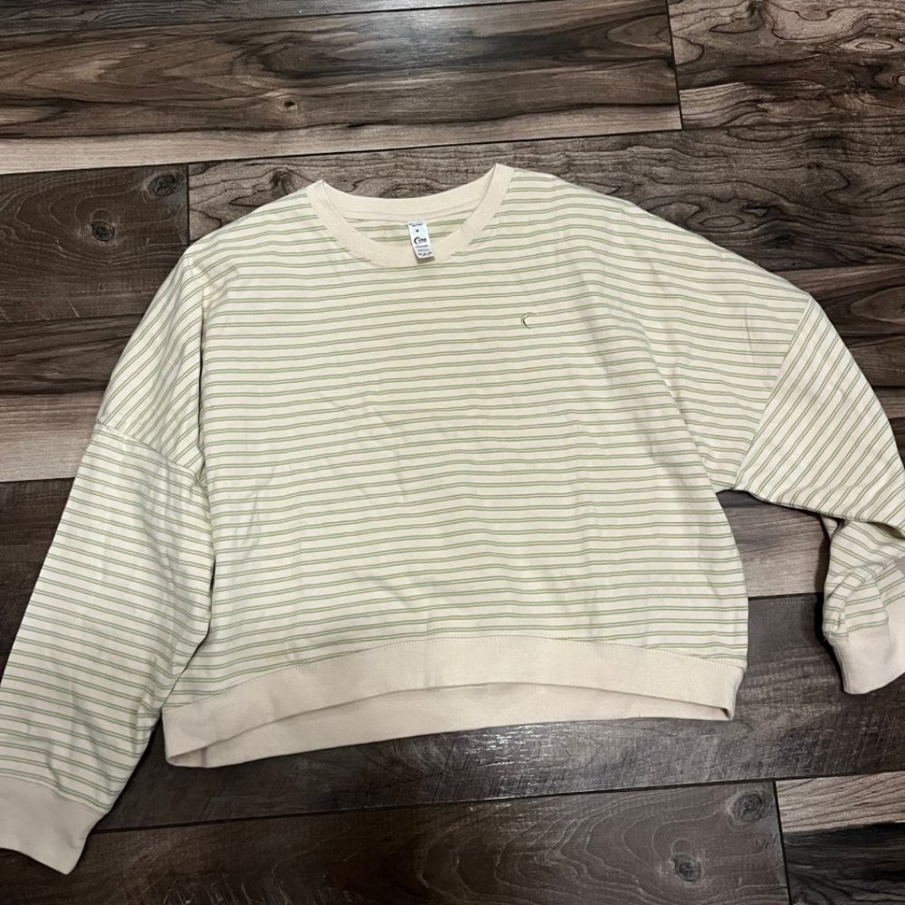 Kiwi & Cream Striped Crewneck Crop Sweatshirt